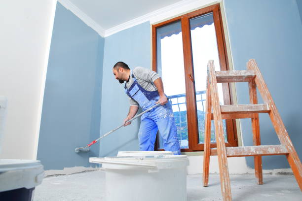 Best Black Mold Removal  in Oxford, GA