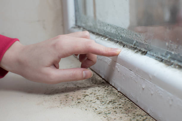 Best Mold-Related Health Consultation  in Oxford, GA